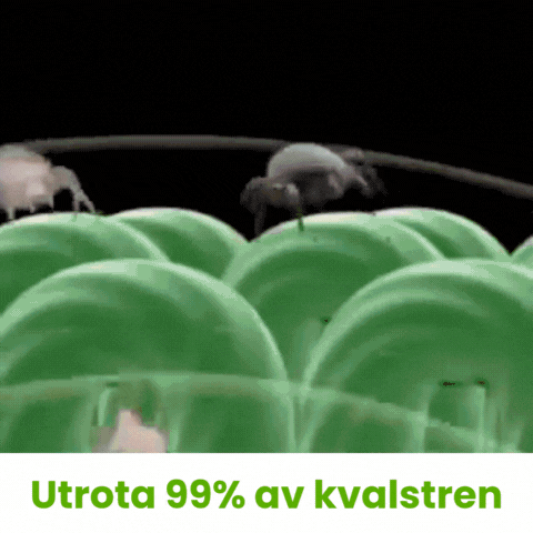 MiteVakt™ | Kvalsterlappar