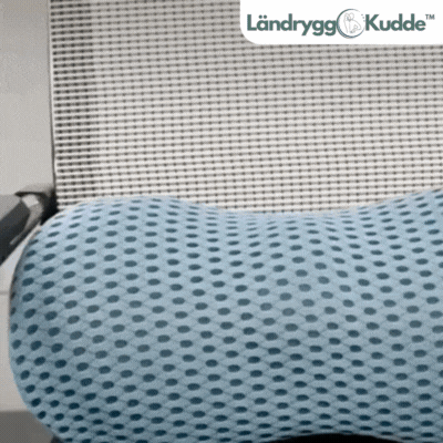 LändryggKudde™ | Ländryggsstödkudde