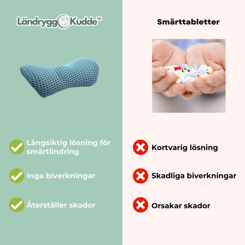 LändryggKudde™ | Ländryggsstödkudde