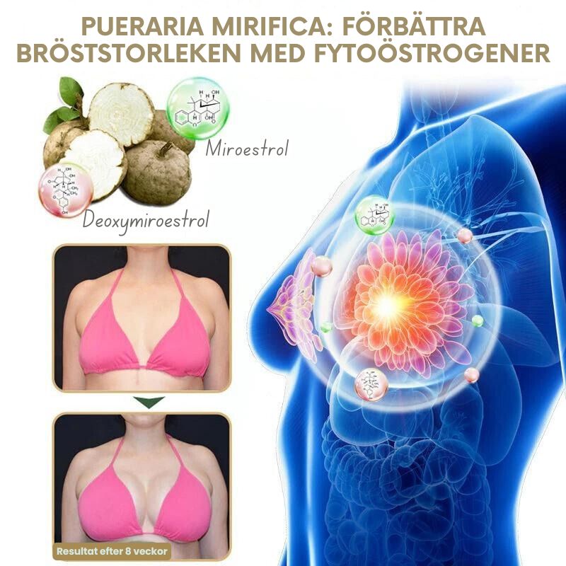 BröstMästare™ | Pueraria Mirifica Papayasaft Bröstväxtpulver