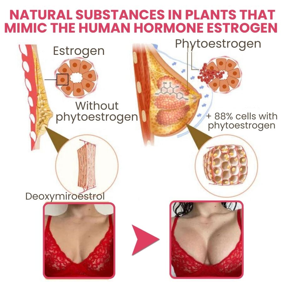 KraftByst™ | Naturlig bröstkräm
