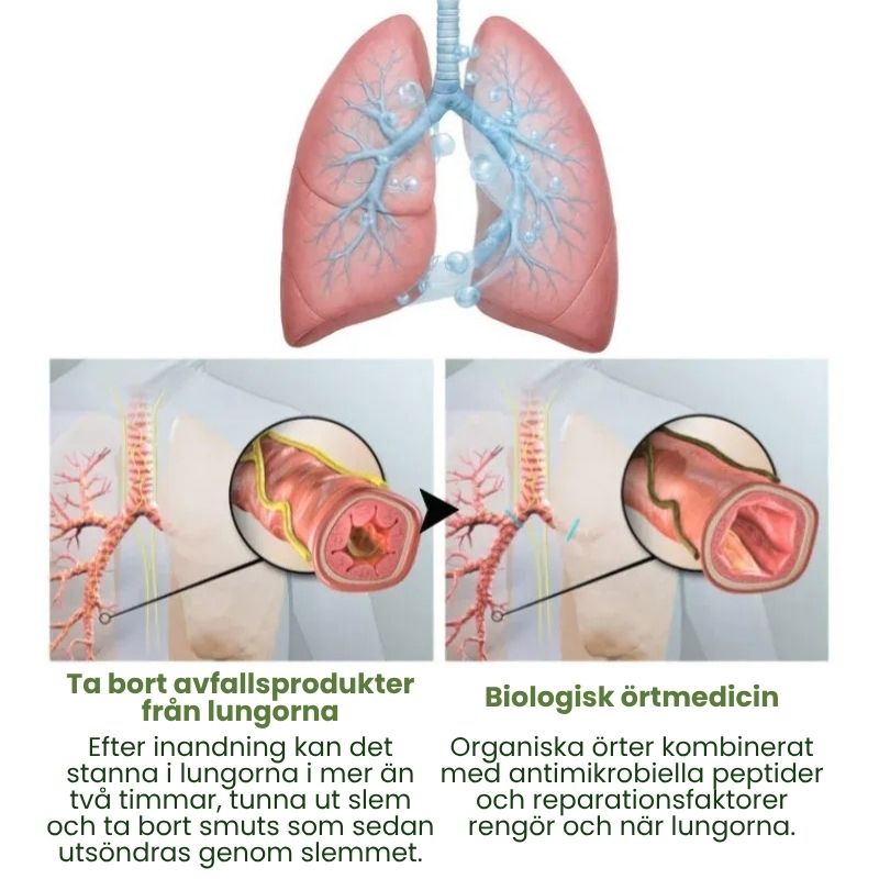 LungClean™ | Mullein Inhalator Pen