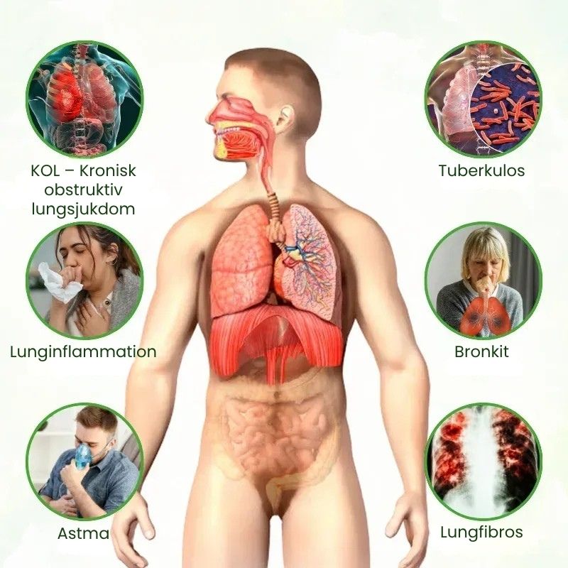 LungClean™ | Mullein Inhalator Pen