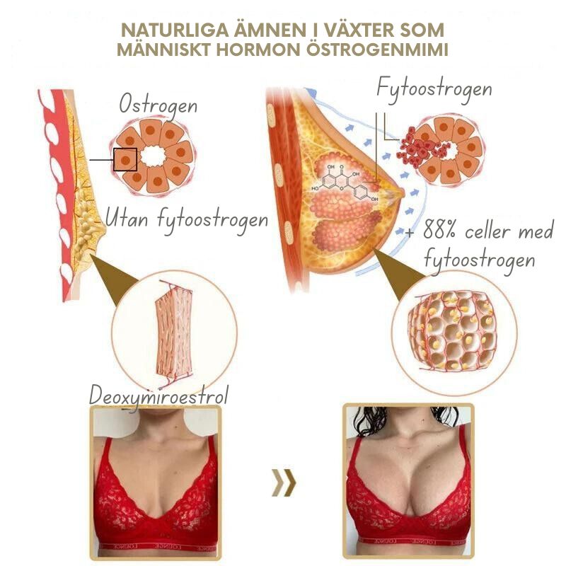 BröstMästare™ | Pueraria Mirifica Papayasaft Bröstväxtpulver