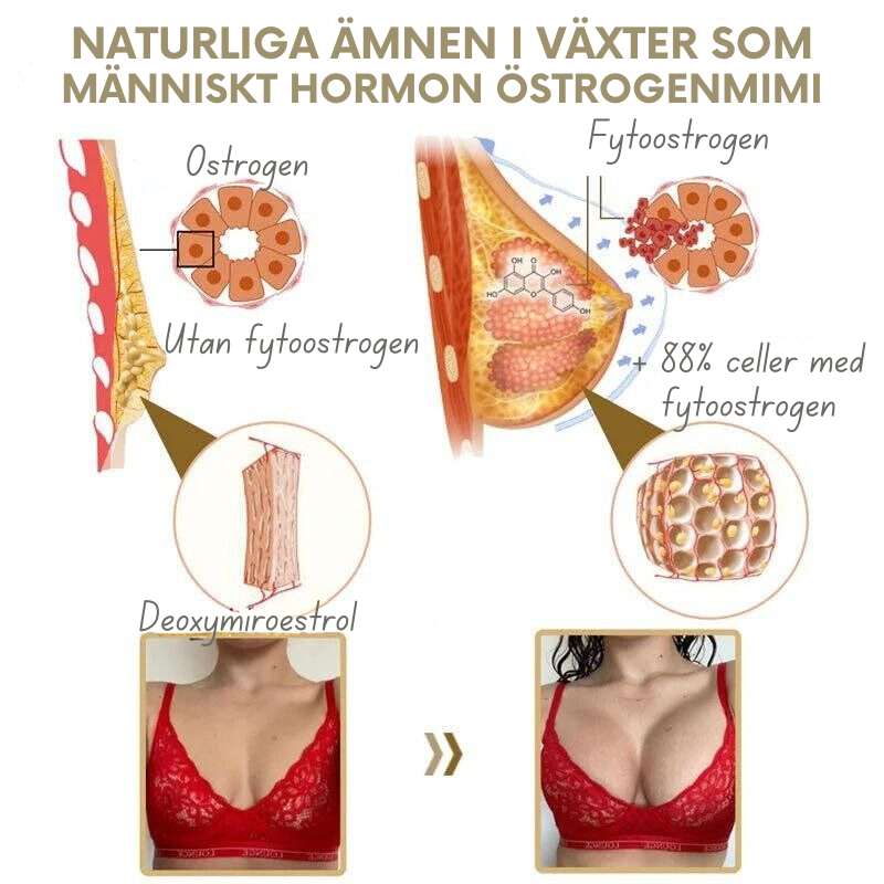 BröstMästare™ | Pueraria Mirifica Papayasaft Bröstväxtpulver