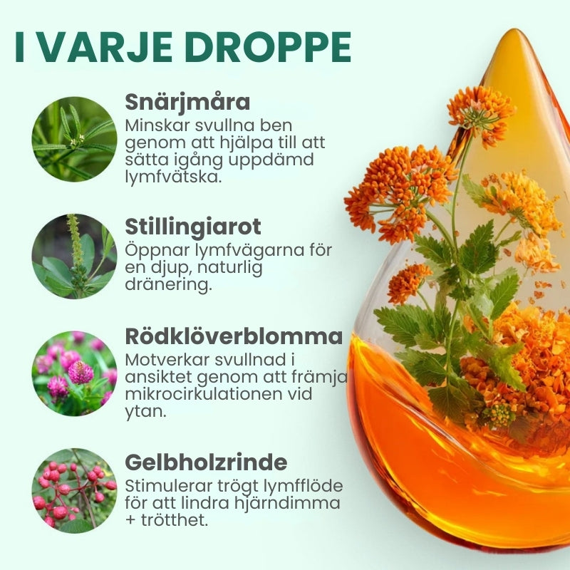 Lymphoria™ | Wellness-droppar för lymfdränering