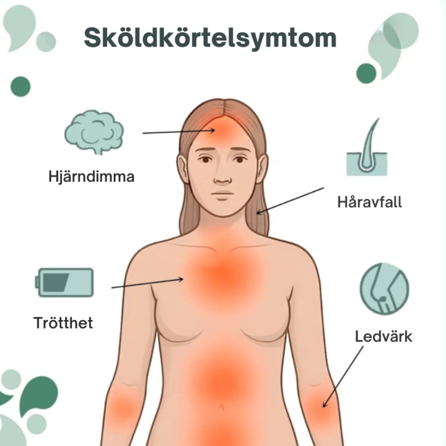 ThyroBalance™ | 100% Växtbaserat Stöd för Sköldkörteln