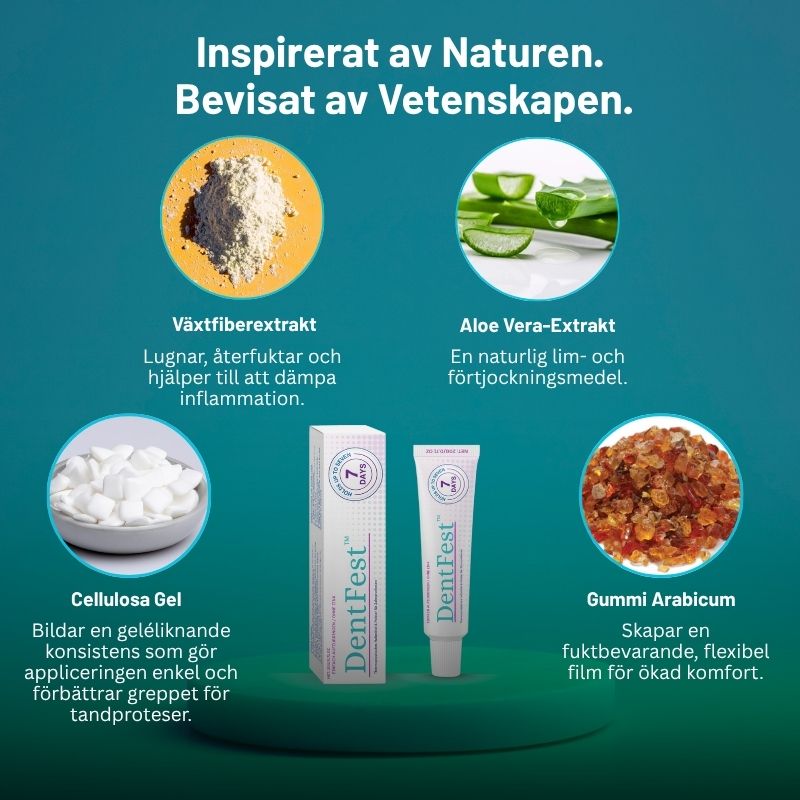 DentFest™ | Termoplastisk Protes-Haftremsa