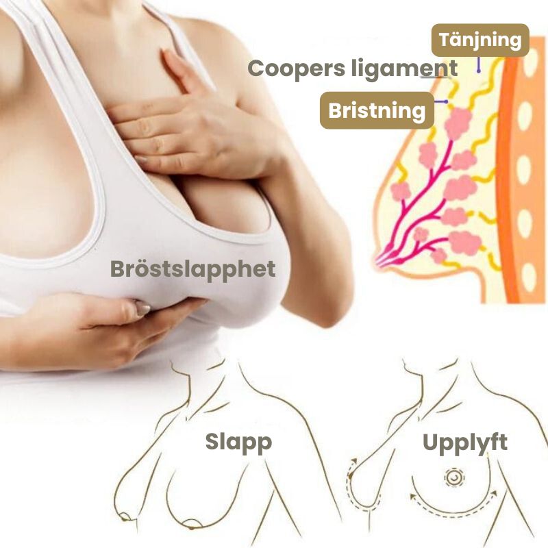 BröstMästare™ | Pueraria Mirifica Papayasaft Bröstväxtpulver