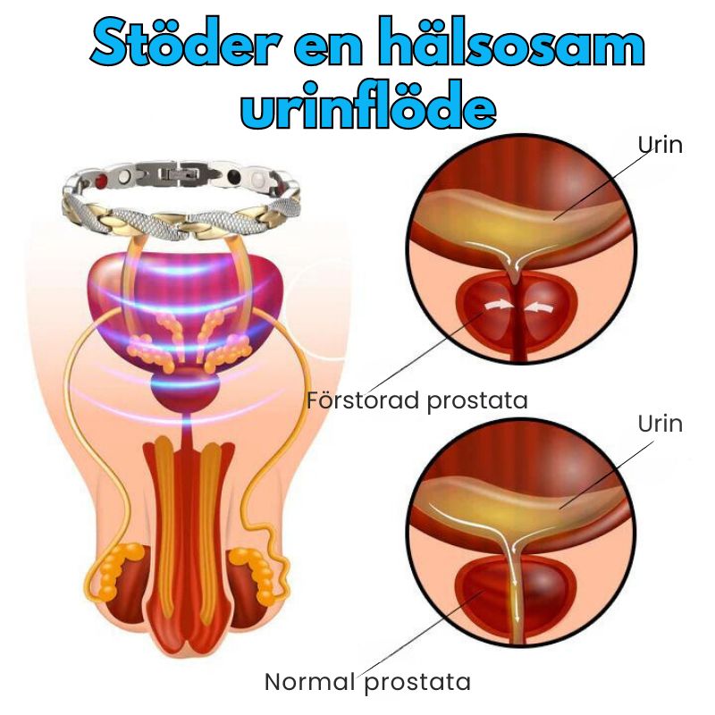 ProstataVård™ | Magnetiskt hälsoarmband för prostata