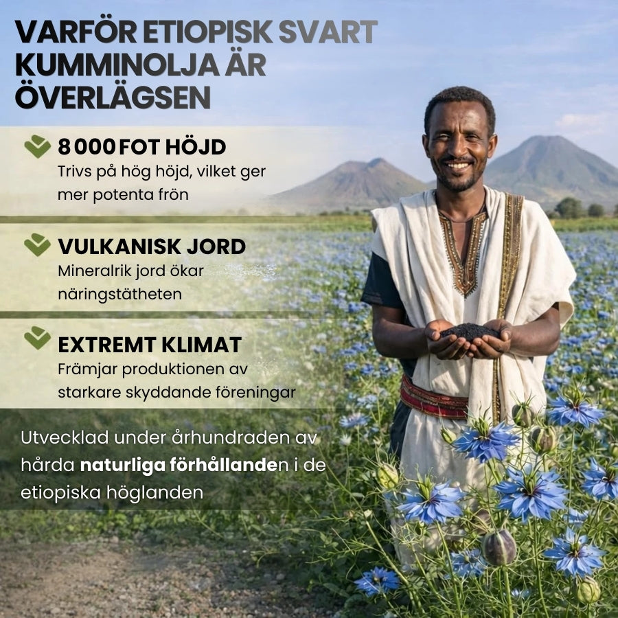 PureElixir™ | Näringskapslar med etiopisk svartkumminolja