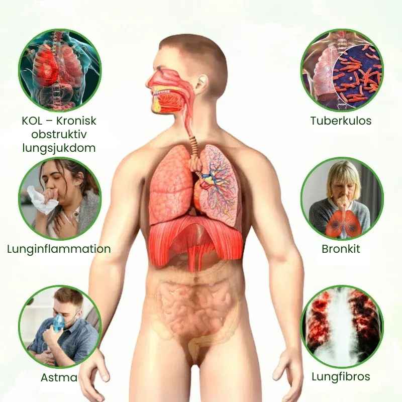 LungClear™ | Klarandningsinhalator