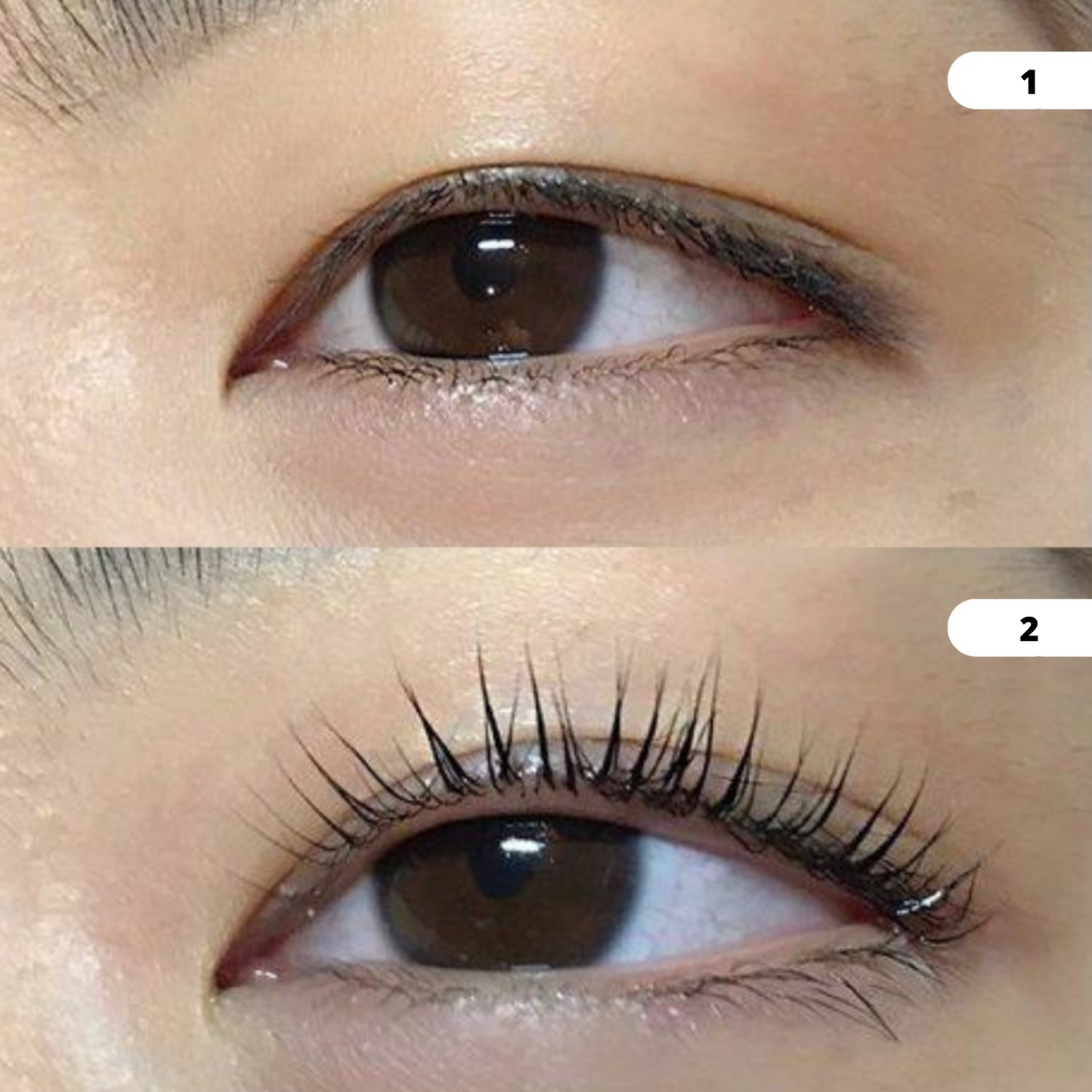 MascaraPro™ | Hela dagen, kladdfri mascara